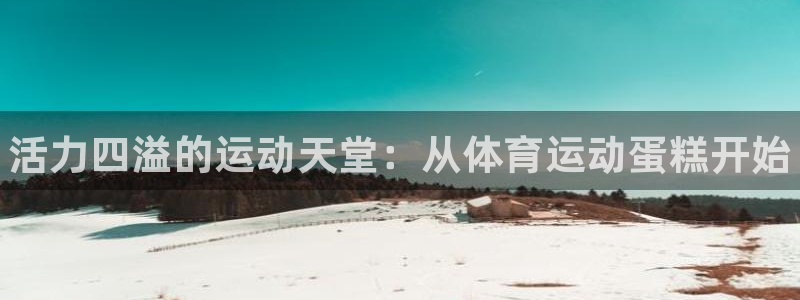 vsport体育官网下载平台注册流程视频:活力四溢的运动天堂